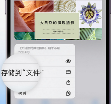 古交apple维修中心分享iPhone文件应用中存储和找到下载文件