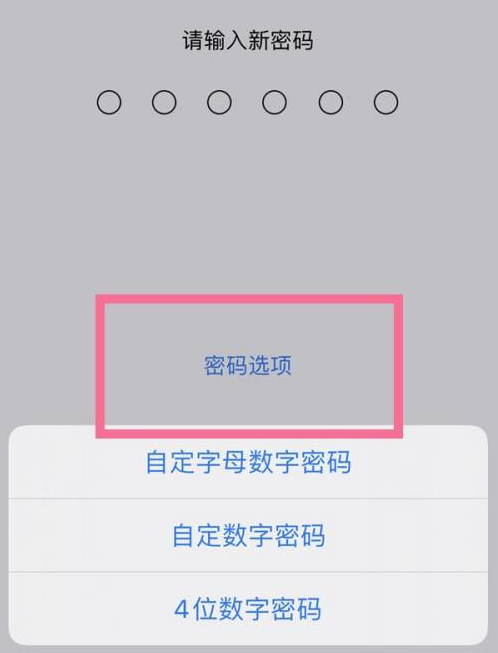 古交苹果14维修分享iPhone 14plus设置密码的方法 